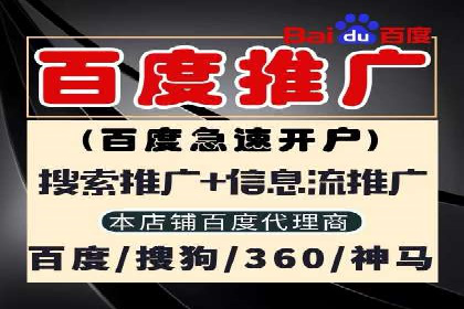 某知名企业SEM主管的成长之路